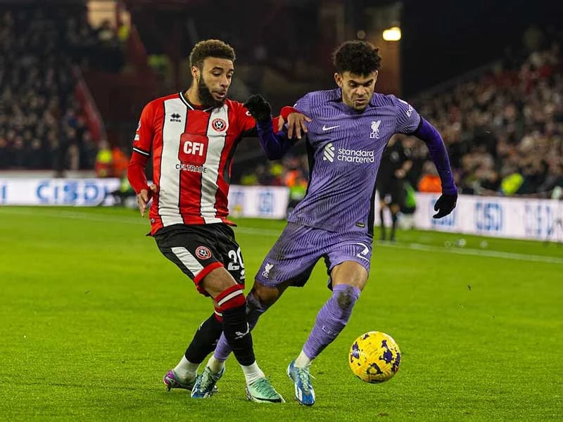 Trực tiếp bóng đá Liverpool vs Sheffield, Liverpool vs Sheffield